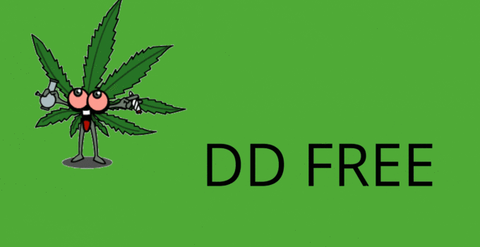 DD FREE