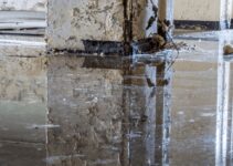 Flooded Basement Cleanups – DIY OR Hire A Professional