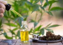 What is CBD, and why is it so Popular Right Now?