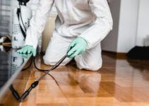 5 Warning Signs You Need a Pest Control Service in Your Home