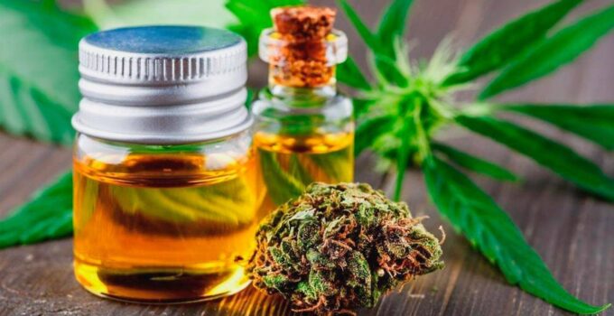 How can you tell if CBD is high-quality – 2024 Guide