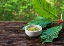 Science studies the Effects of Nutrient Fertility on Kratom Alkaloids