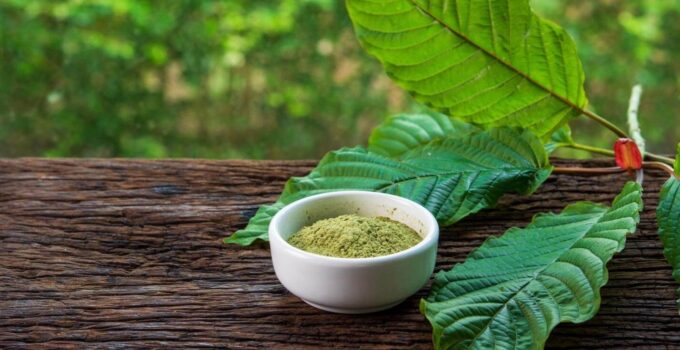 Science studies the Effects of Nutrient Fertility on Kratom Alkaloids