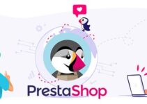 4 Ways a Prestashop Developer can improve your eCommerce Business