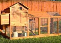 How To Choose The Best Chicken Coop Size For Your Flock