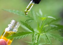 Can CBD Oil Help You Deal With Immunotherapy?