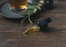 Common CBD Oil Myths You Should Know