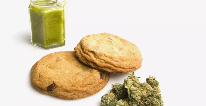 Weed Edibles: The Ultimate Guide for Beginners