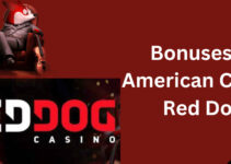 American Casino Red Dog: What Bonuses Can a Newcomer Get?