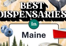 A Guide to the Best Dispensaries in Maine