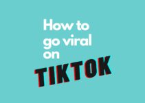 The Best Ways to Go Viral on TikTok : a Guide for Newbies in 2024