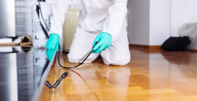 What Is The Most Effective Form Of Pest Control For A Facility?