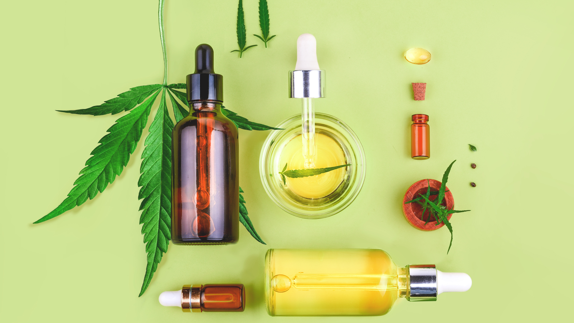 Different Ways To Take CBD - Haaretz daily - Info & News Magazine 2024