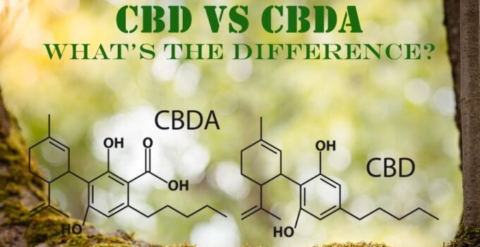 Is CBDA The New CBD?