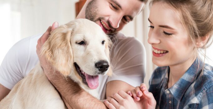 10 Simple Yet Effective Ways to Make Your Dog Happy