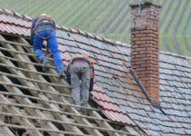 5 Warning Signs That Your Roof Needs Immediate Repair