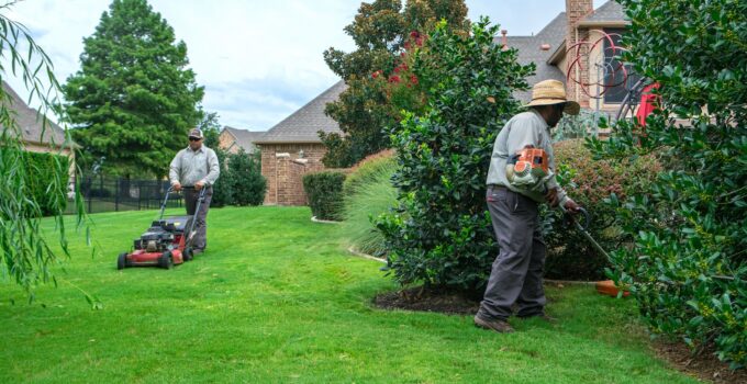 What To Expect When Taking A Lawn Care Course