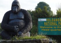 Amateur Guide to Volcanoes National Park Rwanda