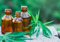 CBD for Wellness: How Hemp-Derived Products Can Enhance Your Lifestyle