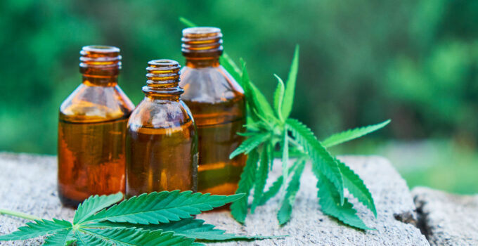 CBD for Wellness: How Hemp-Derived Products Can Enhance Your Lifestyle