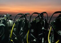 From Basic To Advanced: Mastering Scuba O-Rings For Enhanced Dive Safety