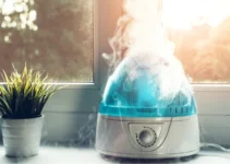 Glowing Wellness: Understanding the Health Benefits of Light-Up Humidifiers