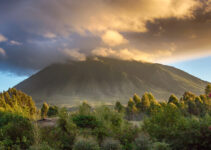 Exploring The Majestic Beauty Of Volcanoes National Park In Rwanda