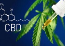 How CBD Can Enhance Concentration and Clarity