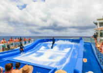 How Does FlowRider Accident Lawyer Can Help You?