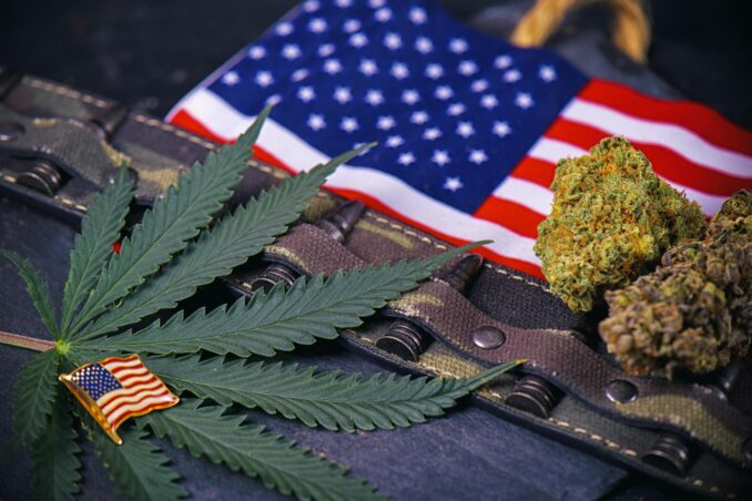 Medical Cannabis for PTSD Symptoms