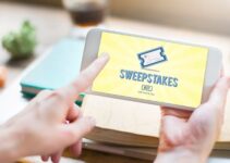Navigating the Digital Frontier: Evaluating Internet Sweepstakes Cafe Software Companies from a Business Perspective