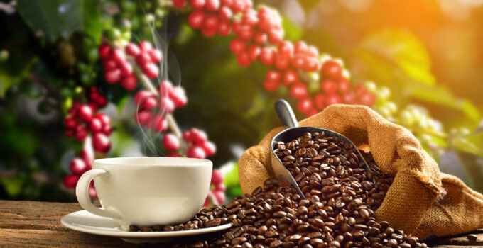 The Best Wholesale Coffee for Foodservice Providers