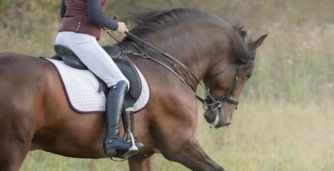 Equestrian Elegance: Choosing the Perfect Riding Boots for Women