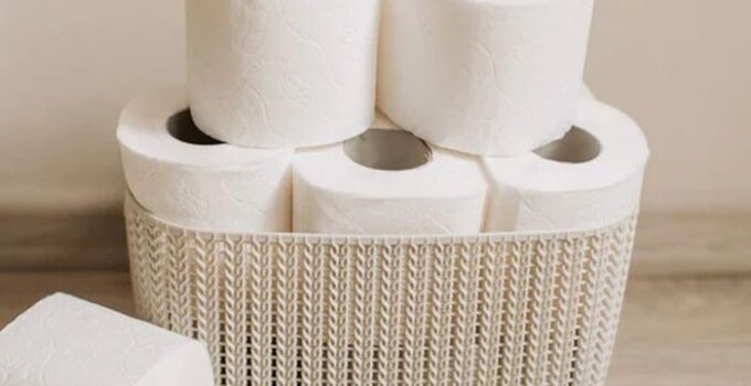 The Hidden Environmental Impact of Your TP