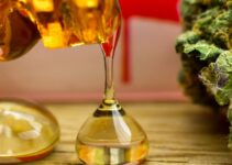 Cannabis Extract vs. Distillate: Key Differences and Tips for Using