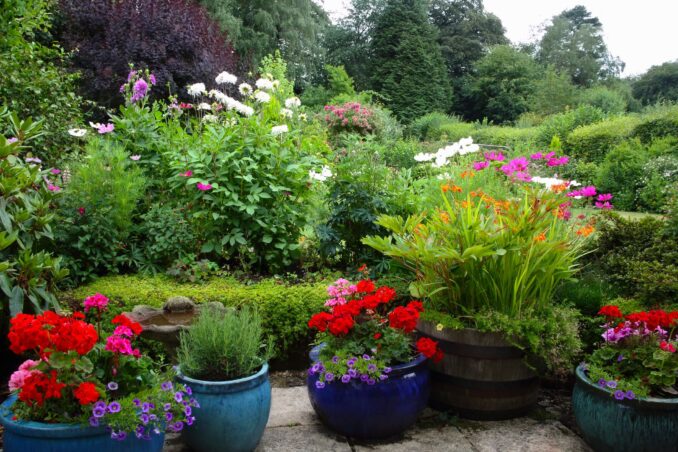 container garden