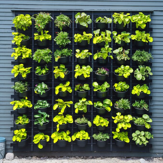 vertical gardens