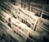 Why So Many Local Newspapers Are Closing in Recent Years
